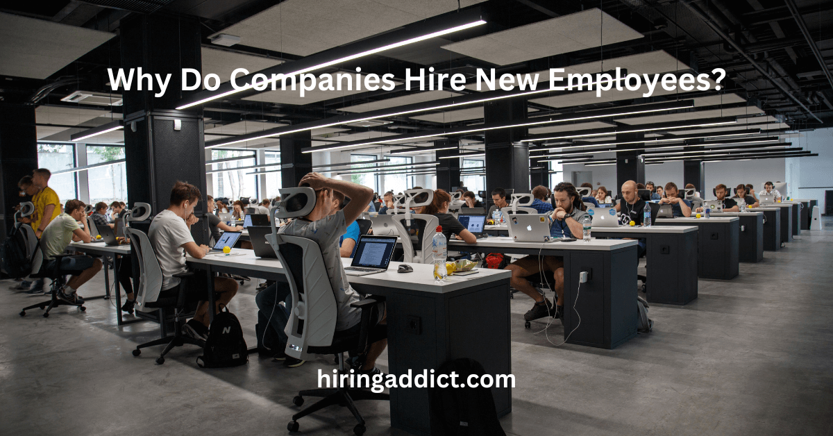 Why Do Companies Hire New Employees?